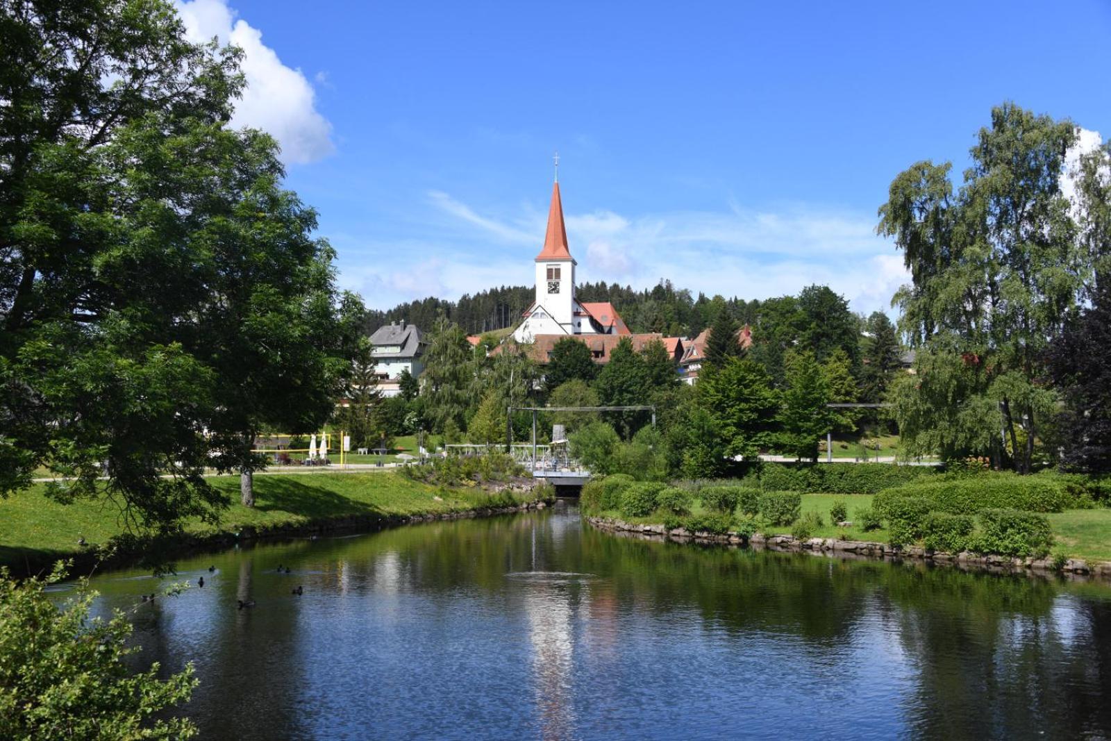 Landhaus Panoramablick Schonach im Schwarzwald Eksteriør bilde