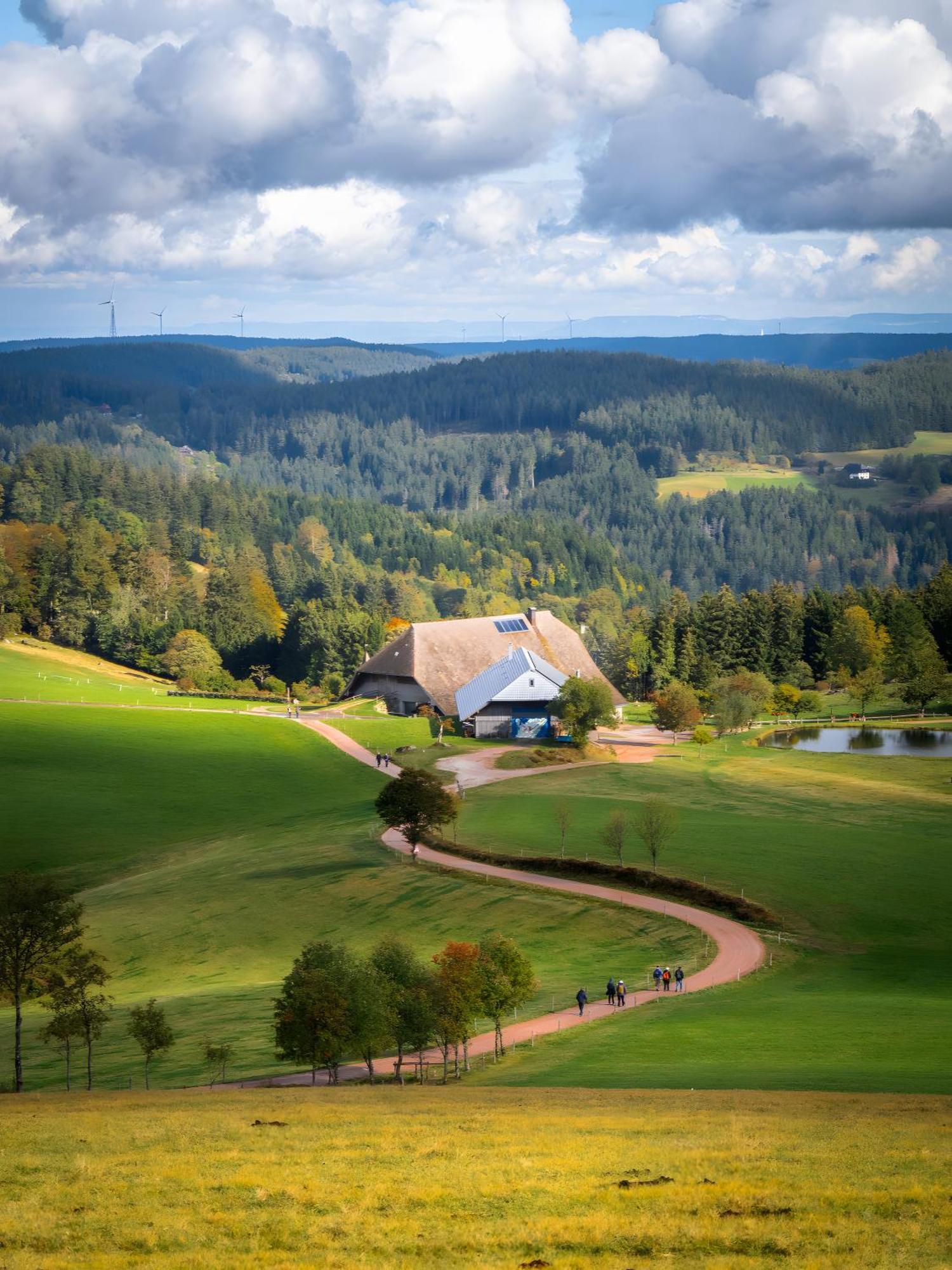 Landhaus Panoramablick Schonach im Schwarzwald Eksteriør bilde